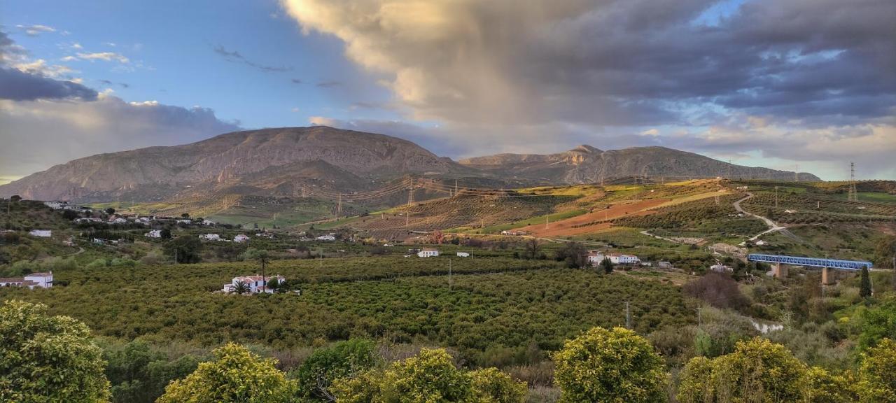 El Rancho Grande - Apartamento Álora Eksteriør billede